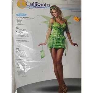 Adult Fairy Costume, Size Small